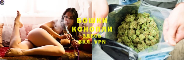 молекула духа Нея