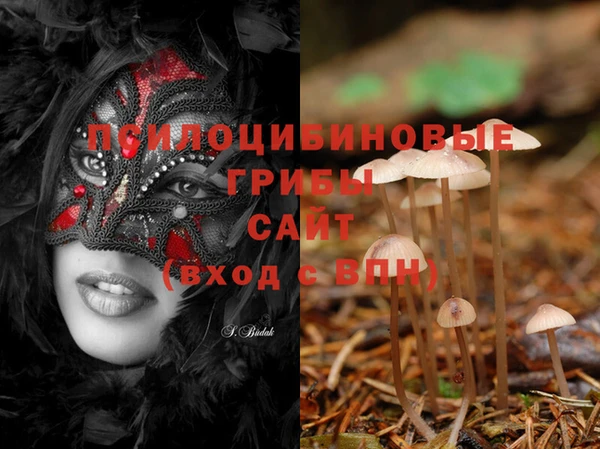 молекула духа Нея
