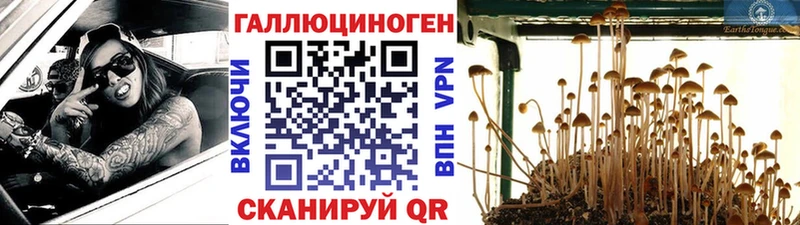 Купить Кимры Галлюциногенные грибы Magic Shrooms
